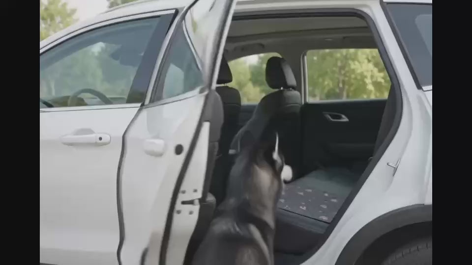 PawPropre™ Le Dernier Tapis Éducateur que Tu Achèteras