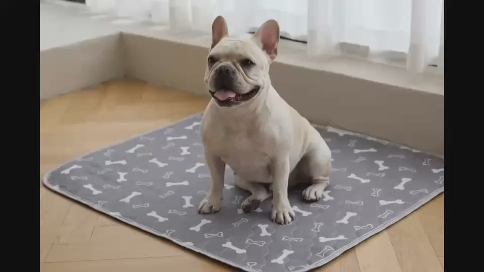 PawPropre™ Le Dernier Tapis Éducateur que Tu Achèteras